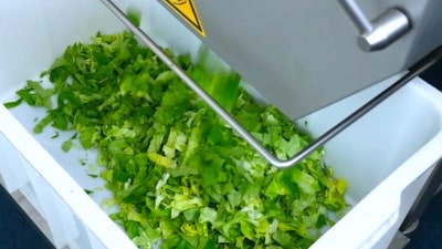 Lettuce Belt Slicer