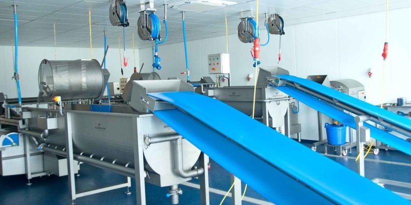 Salad Processing Line